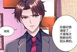 漫画霸道总裁图片,霸道总裁的甜蜜邂逅