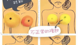 漫画乳头,揭秘人体艺术与审美观念的碰撞