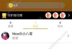 91直播充值平台,便捷充值，畅享直播盛宴