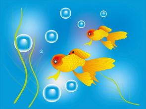 金鱼漫画,趣味横生的水下世界