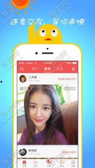 91型社区直播下载