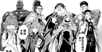 风之漫画 一拳超人,风之英雄的崛起与挑战